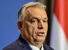 ИИ-в-закупках:-цена-лояльности-к-«проверенным»-поставщикам-и-упущенных-категорийных-скидок
